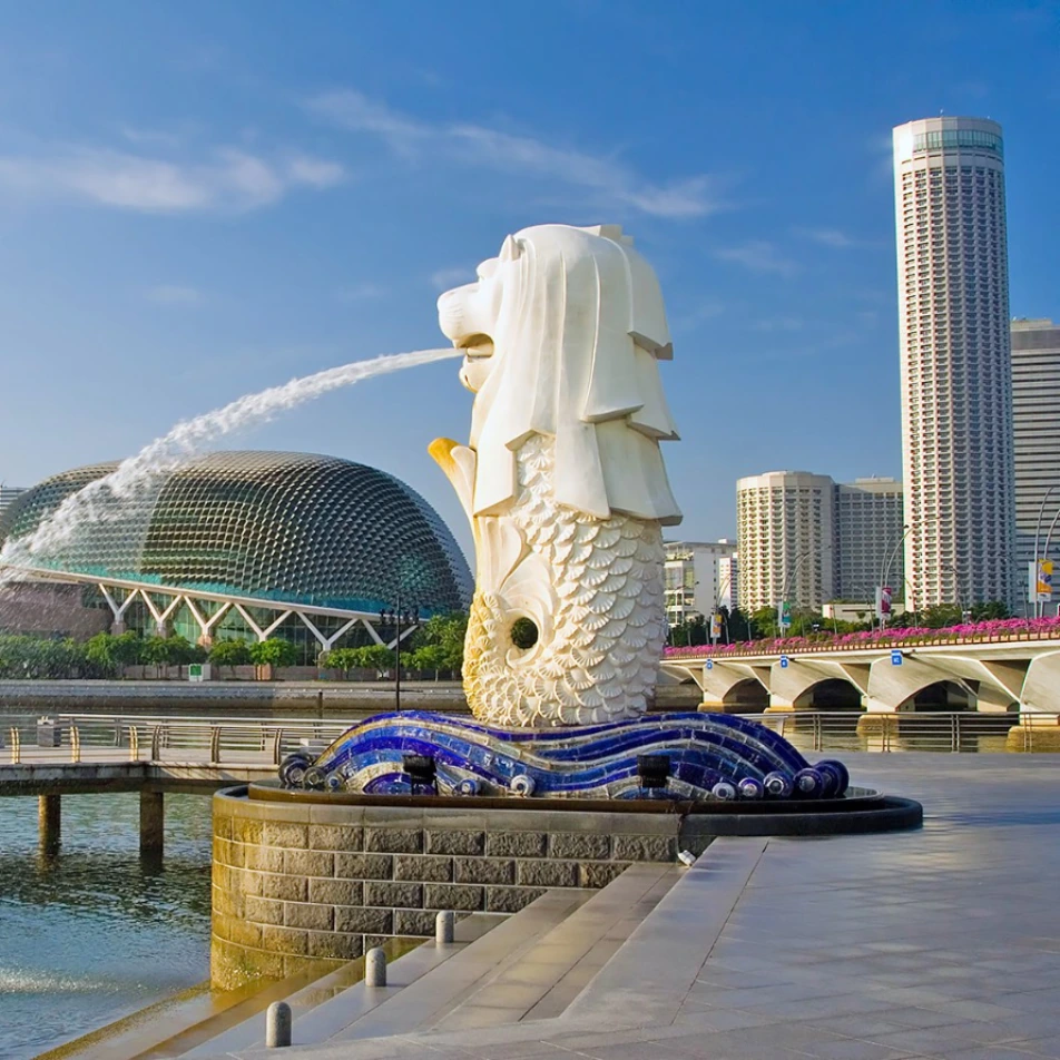 Web App Development in Singapore 